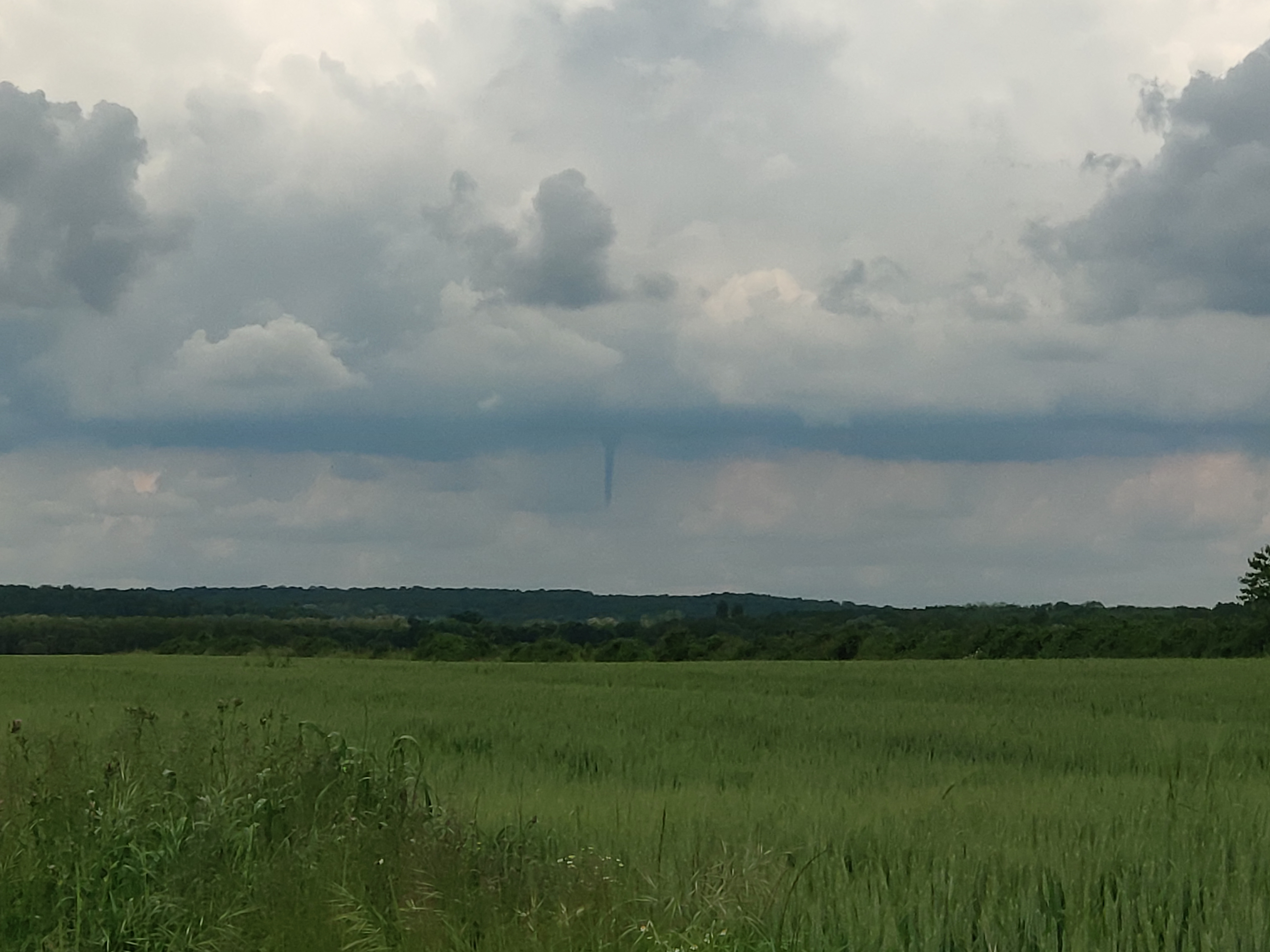 Bonjour,
Sur la route d'Arbonne-la-forêt à Macherin (77) j'ai aperçu ce qui me semblait être un tuba (le doute que j'ai eu était que la forme était assez peu mouvente). En revanche, j'ai pu par hasard avoir un témoignage que pendant le meeting aérien à la Ferté Alais (91), un tuba a été observé à peu près au même moment. - 18/05/2024 14:13 - FABIEN GAUTERO