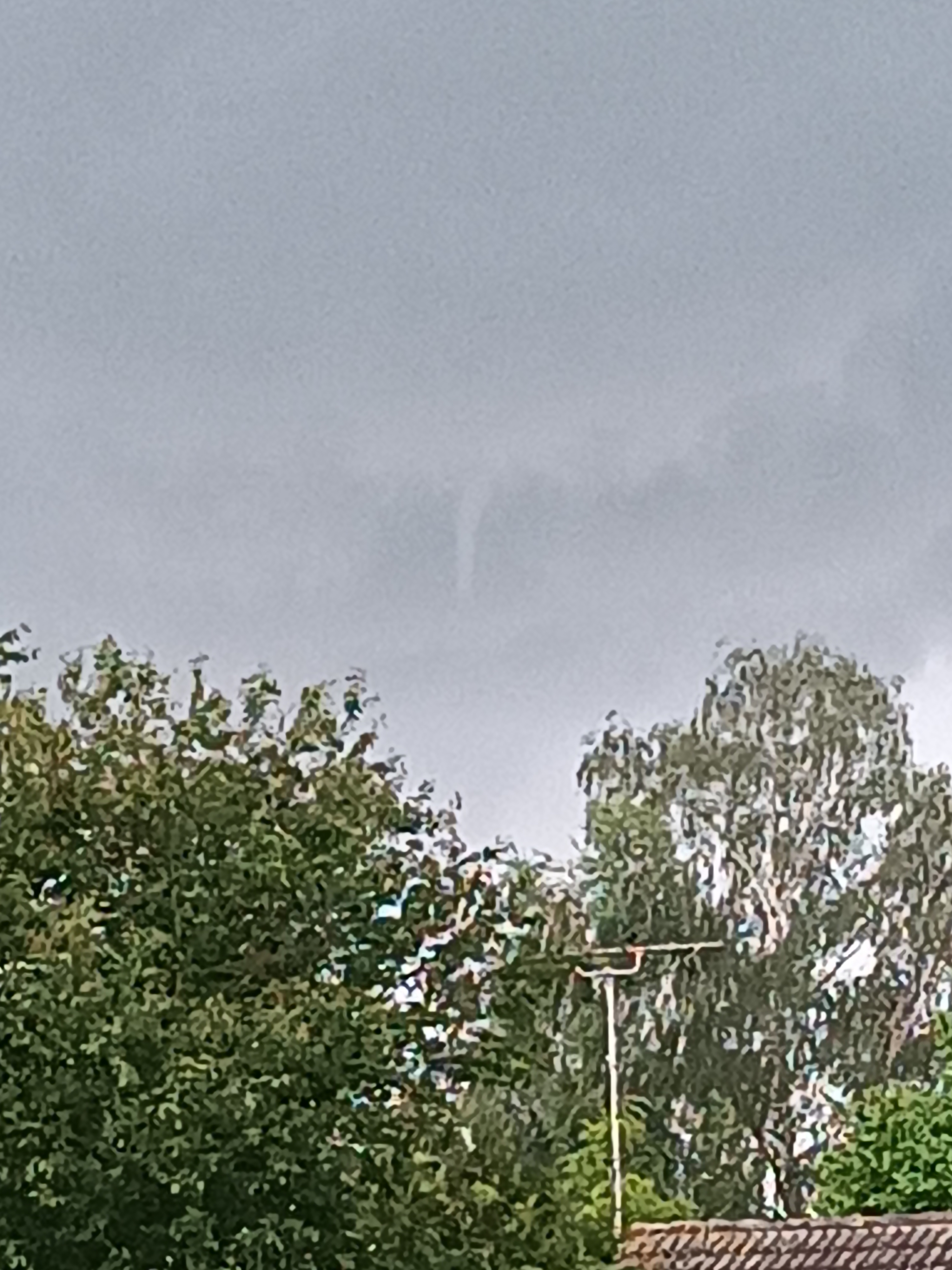 Tuba en formation dans le nord de la Seine-et-Marne - 22/05/2024 18:55 - Anthony Berger