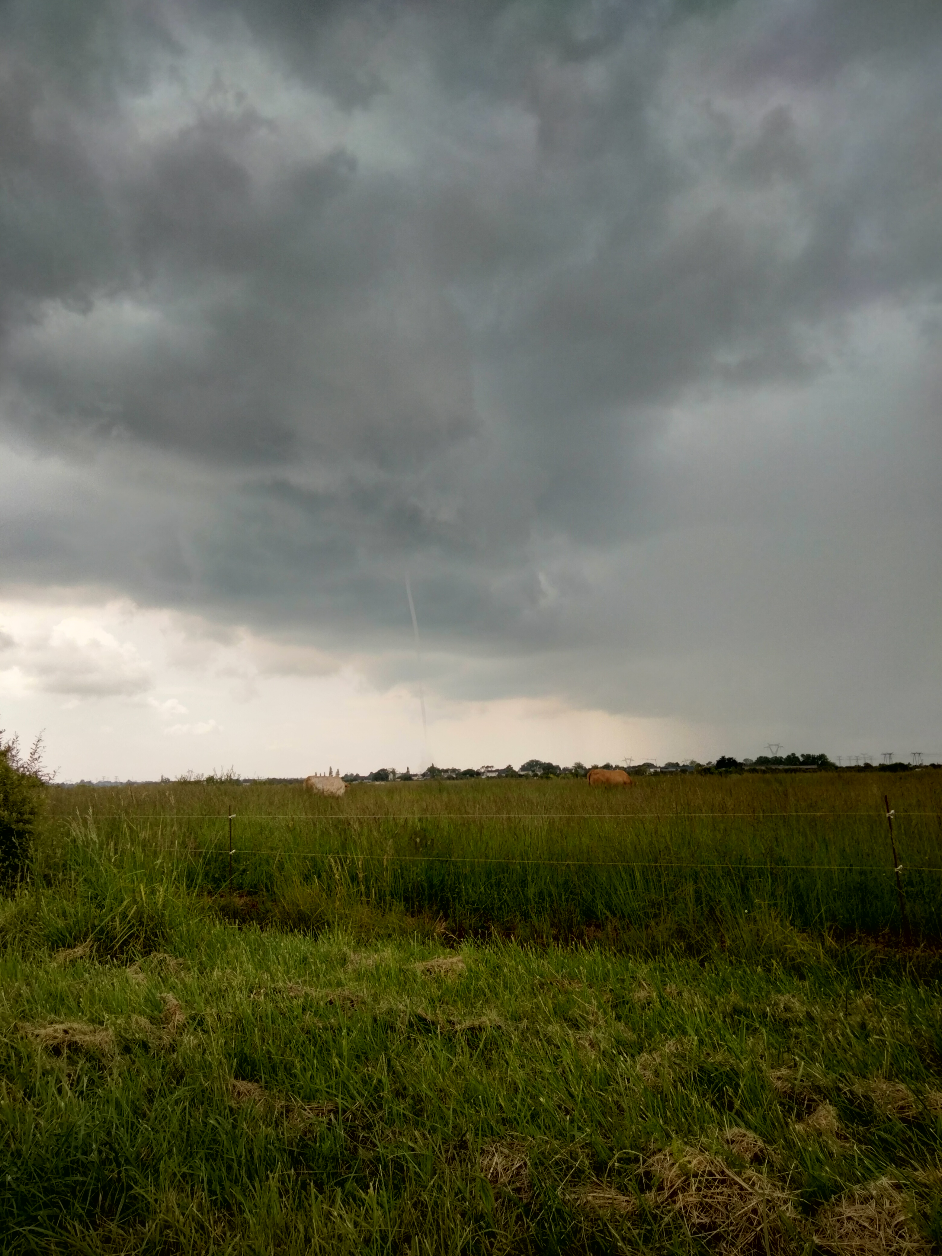 Tornade dans les marais de Trignac 44 - 15/05/2024 15:10 - Sylvain Rousseau