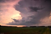 Enclume, sud de l'Aisne le 06/06/2013 - 06/06/2013 20:00 - David Fotosnature