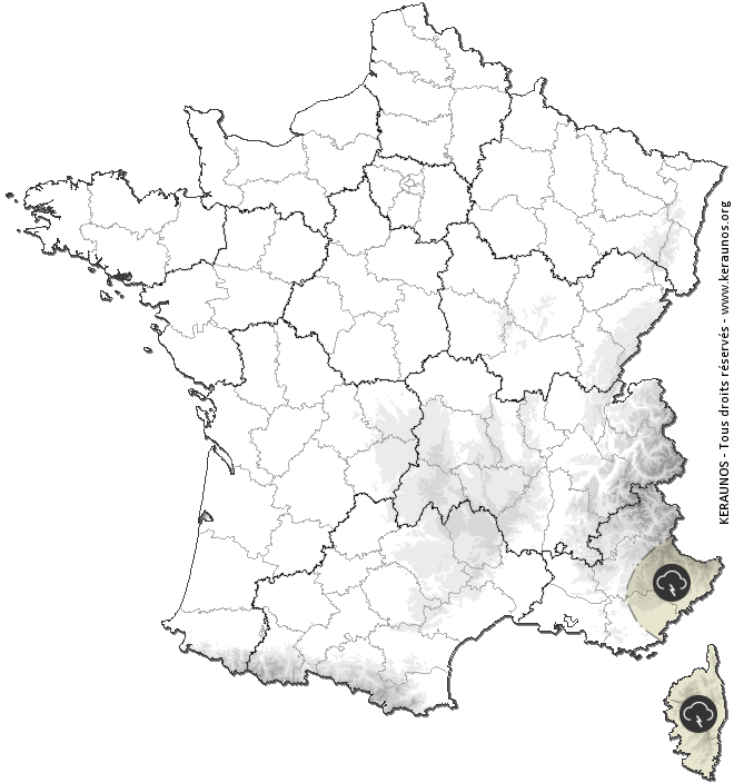 Carte de prévision des orages