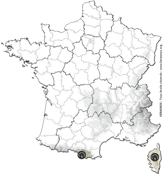 Carte de prévision des orages