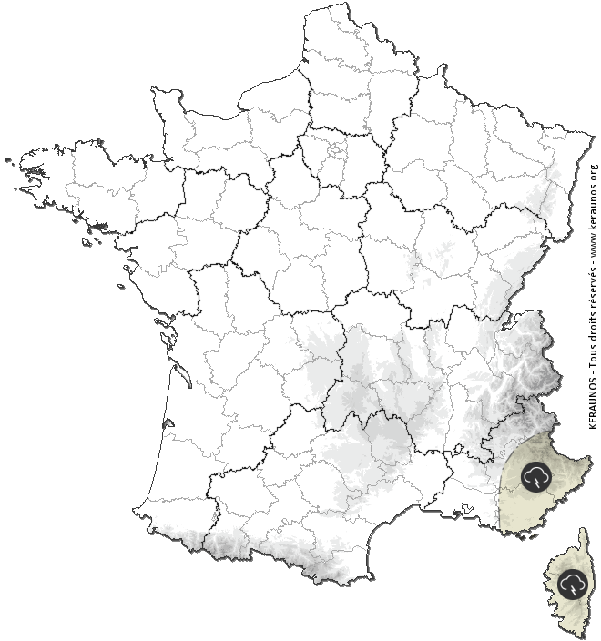 Carte de prévision des orages