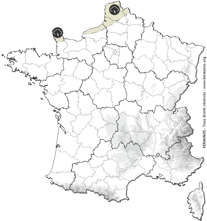 Carte de prévision des orages