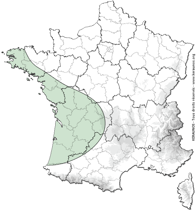 Carte de probabilité d'orage