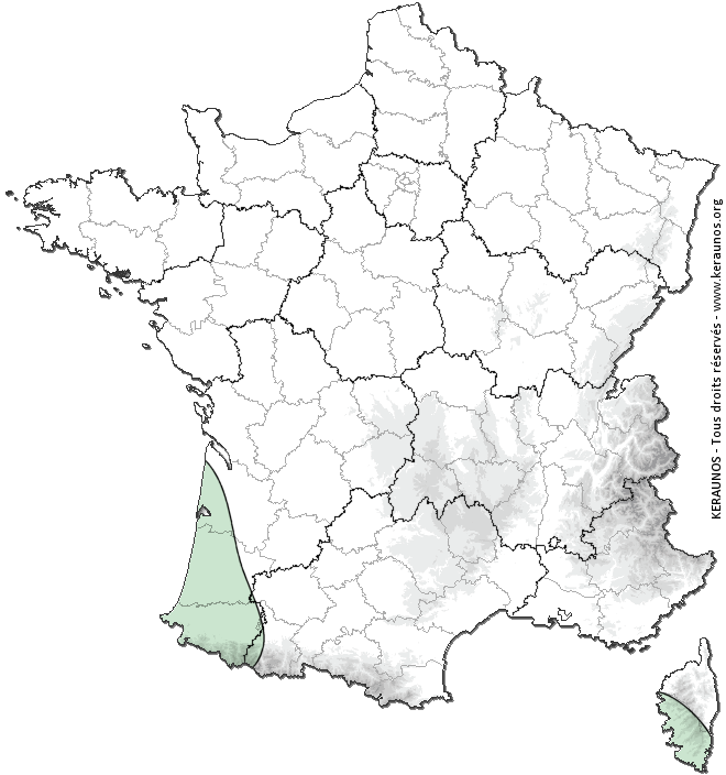 Carte de probabilité d'orage