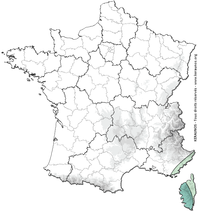 Carte de probabilité d'orage