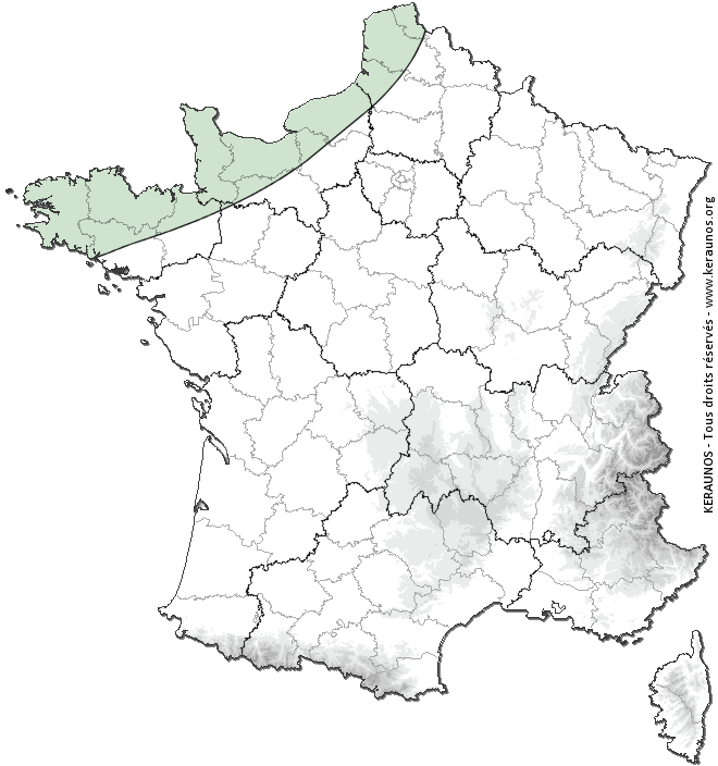 Carte de probabilité d'orage