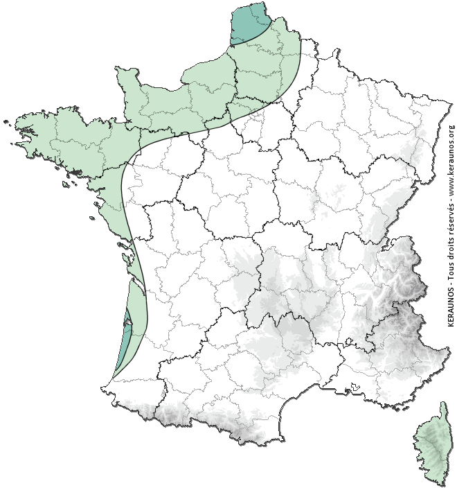Carte de probabilité d'orage