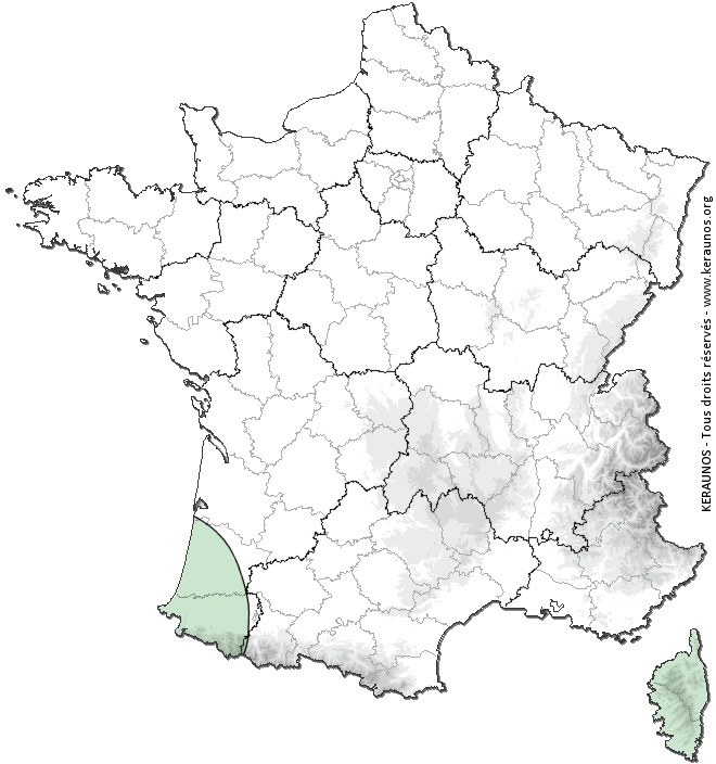 Carte de probabilité d'orage