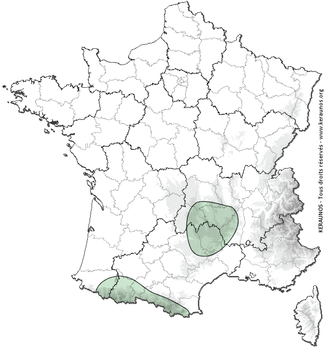 Carte de probabilité d'orage