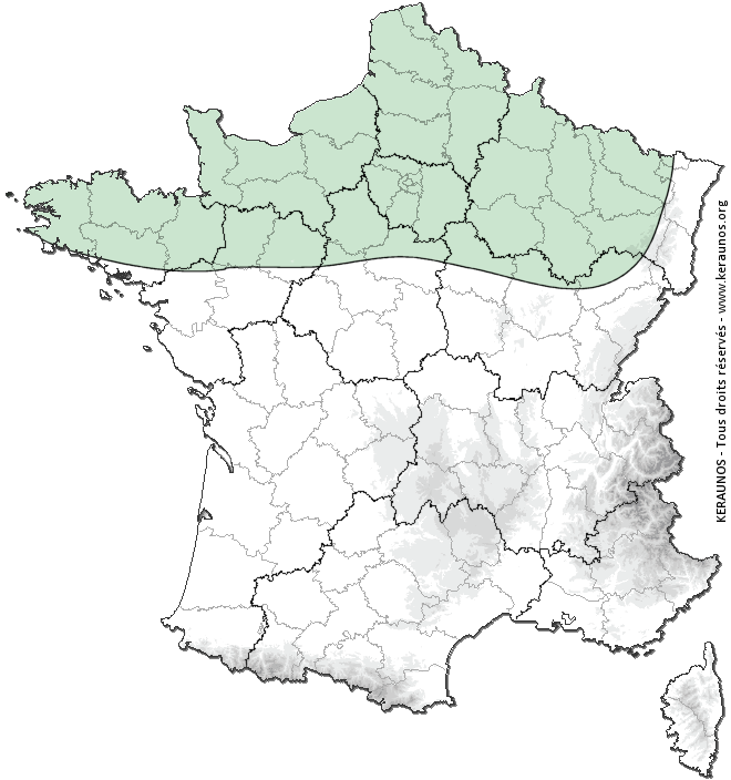 Carte de probabilité d'orage