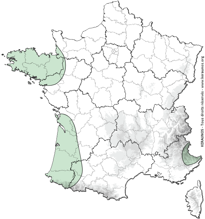Carte de probabilité d'orage