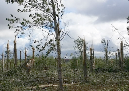 Macrorafales et derecho de la Bourgogne au Benelux le 16 septembre 2015