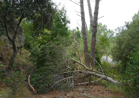 Tornade EF1 à Carcassonne (Aude) le 1er août 2009