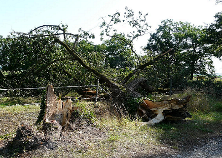 Tornade EF1 à Galiax (Gers) le 17 juillet 2009