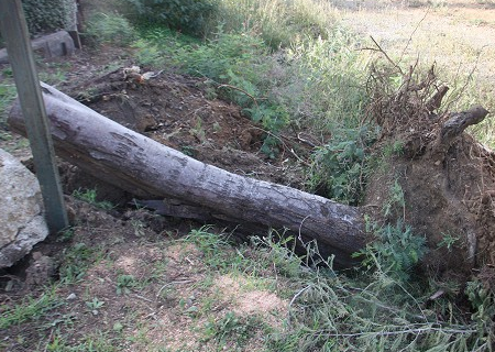 Tornade EF0 à la Croix-Valmer (Var) le 14 octobre 2012