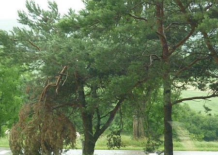 Tornade EF0 à Silly-sur-Nied (Moselle) le 7 juin 2012