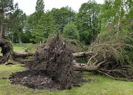 Microrafale D1 à Poigny-la-Forêt (Yvelines) le 21 mai 2014