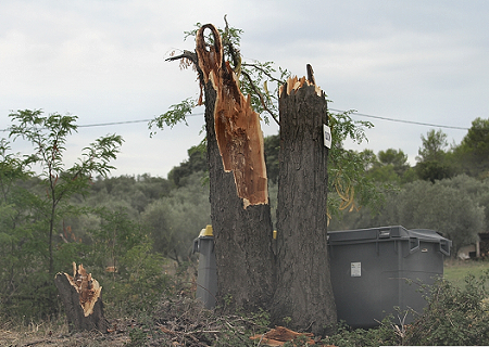 Microrafale D2 à Saint-Jean-de-Cornies (Hérault) le 8 août 2014