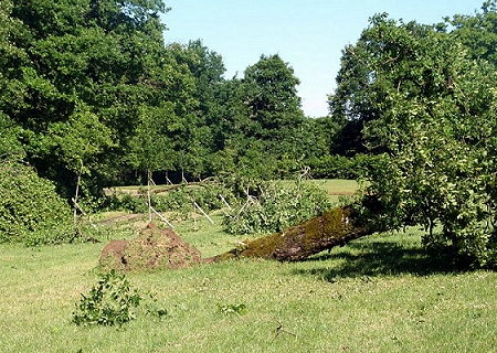 Microrafales D2 entre Cherves-Châtelars et la Péruse (Charente) le 21 mai 2014