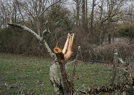 Macrorafale d'intensité modérée (D2) à Loubressac (Lot) le 4 janvier 2016