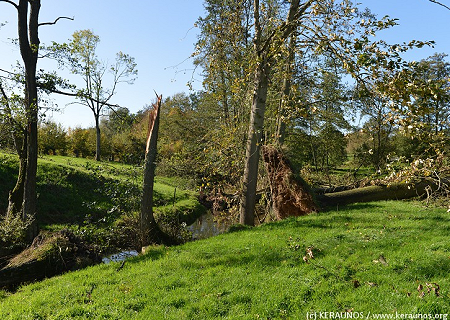 Tornade EF1 à Landouzy-la-Cour (Aisne) le 20 octobre 2013