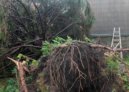 Tornade EF0 à Anglet (Pyrénées-Atlantiques) le 5 décembre 2020