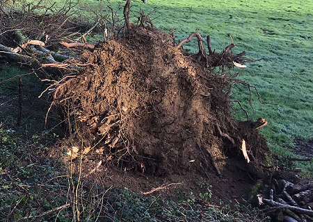 Tornade EF1 à Ardin (Deux-Sèvres) le 28 décembre 2020