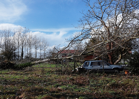 Tornade EF1 à Arvert (Charente-Maritime) le 3 novembre 2014