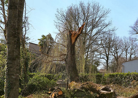 Tornade EF1 à Breuillet (Charente-Maritime) le 28 février 2014