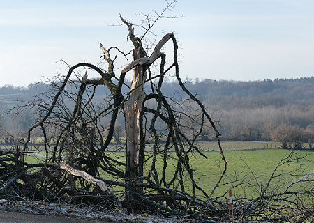 Tornade EF1 à Champagnac-la-Rivière (Haute-Vienne) le 11 janvier 2016