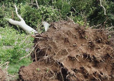 Tornade EF1 à Cogolin (Var) le 11 mai 2021