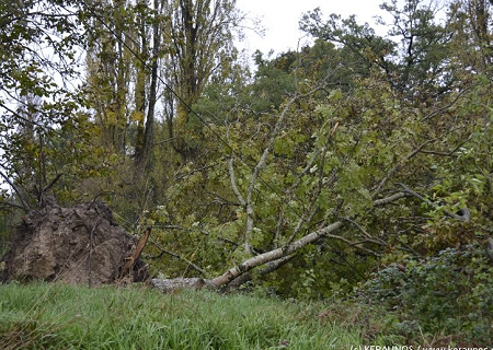 Tornade EF1 à Douchapt (Dordogne) le 4 novembre 2013