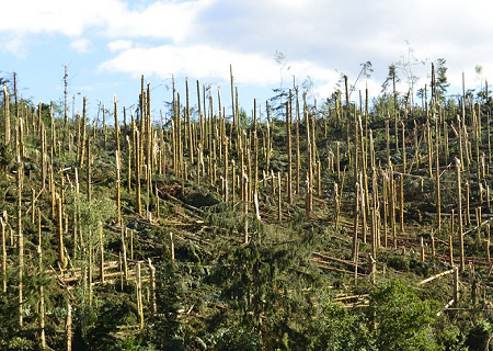 Tornade EF2 à Saint-Alyre-d'Arlanc (Puy-de-Dôme) le 28 juillet 2013