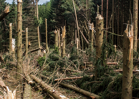 Tornade EF2 à Gerbépal (Vosges) le 13 mai 2015