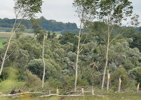 Tornade EF1 à Gueux (Marne) le 10 août 2014