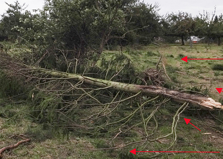 Tornade EF1 à la Ferté-Frênel (Orne) le 14 septembre 2015