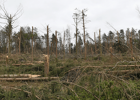 Tornade EF2 à Lorris (Loiret) le 5 mars 2017