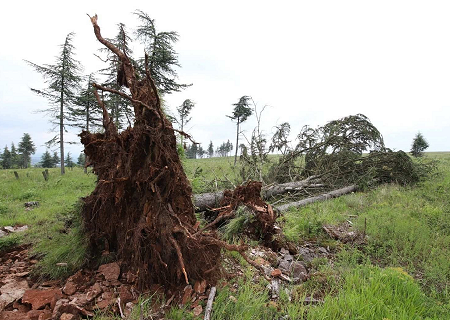 Tornade EF0 à Mercurey (Saône-et-Loire) le 16 mai 2018