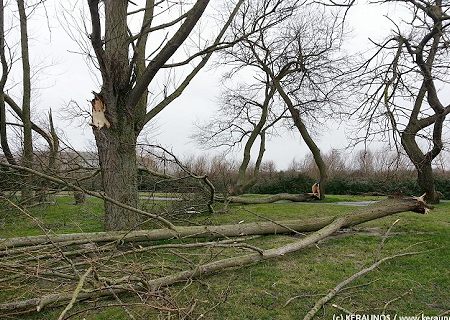 Tornade EF0 à Oye-Plage (Pas-de-Calais) le 25 janvier 2014