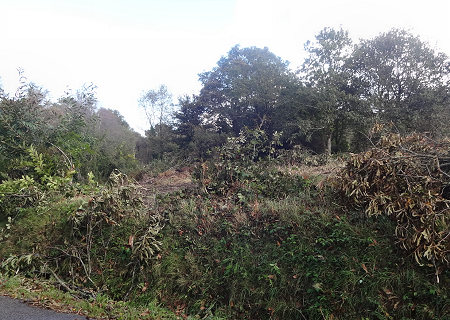 Tornade EF1 à Saint-Thurien (Finistère) le 8 octobre 2014