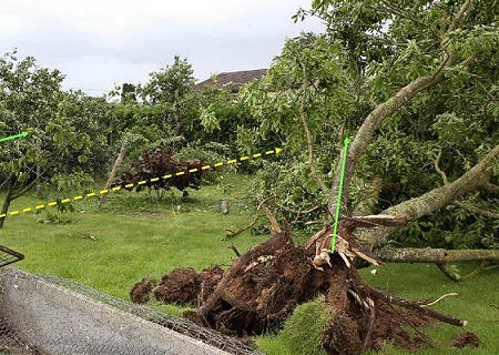 Tornade EF1 à Valdivienne (Vienne) le 14 juin 2016